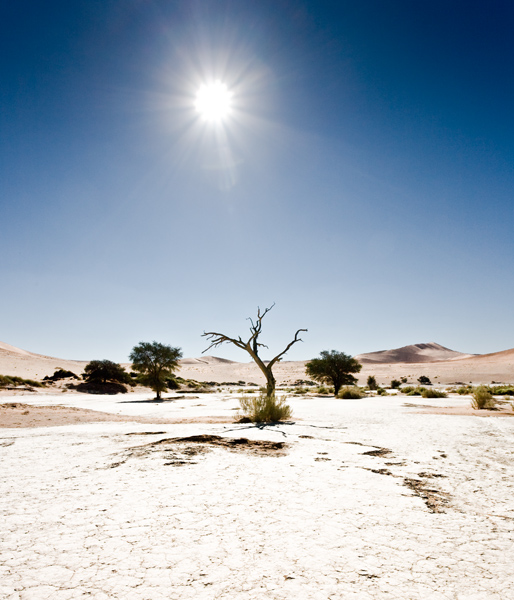 http://toxinworld.free.fr/images/Namibia2009/5D16057_Namibia-3s600.jpg